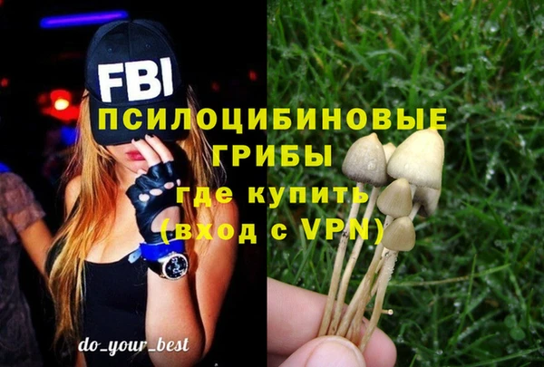 амф Вязьма