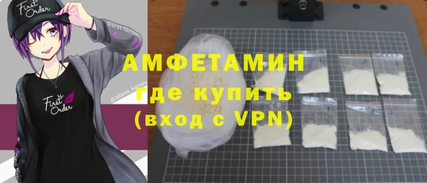 индика Вязники