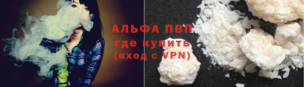 индика Вязники