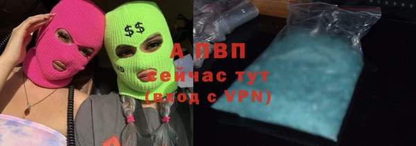 индика Вязники