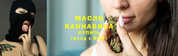индика Вязники