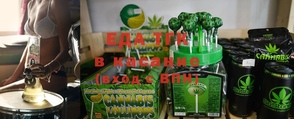 индика Вязники