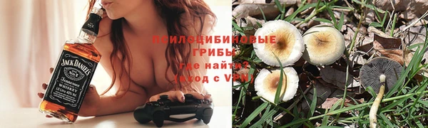 индика Вязники