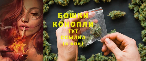 индика Вязники