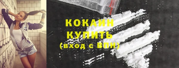 индика Вязники
