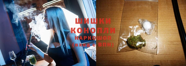 амф Вязьма