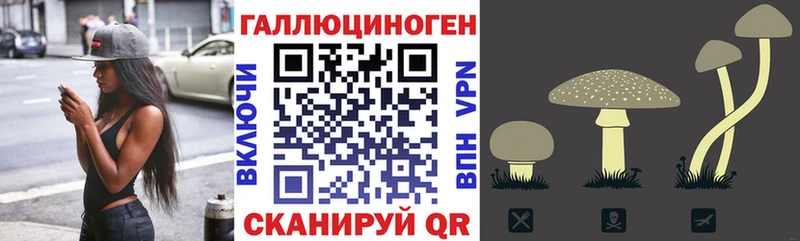хочу наркоту  Новоалександровск  Псилоцибиновые грибы мухоморы 