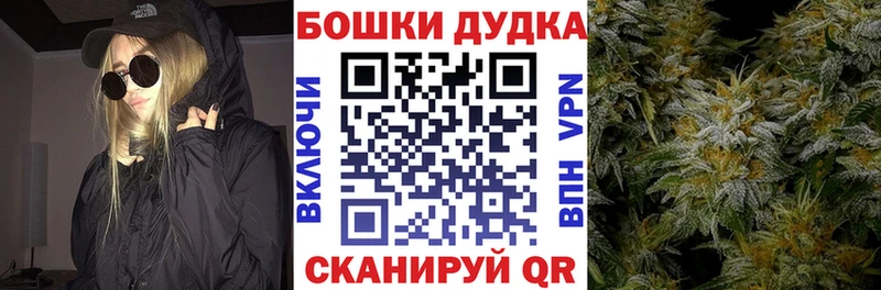 Шишки марихуана сатива  Новоалександровск 